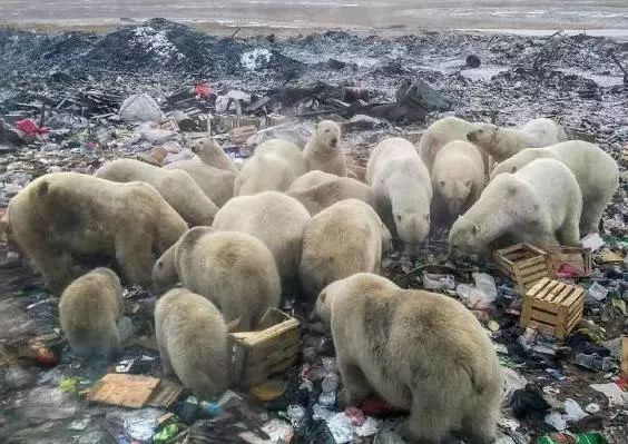 图片35.jpg